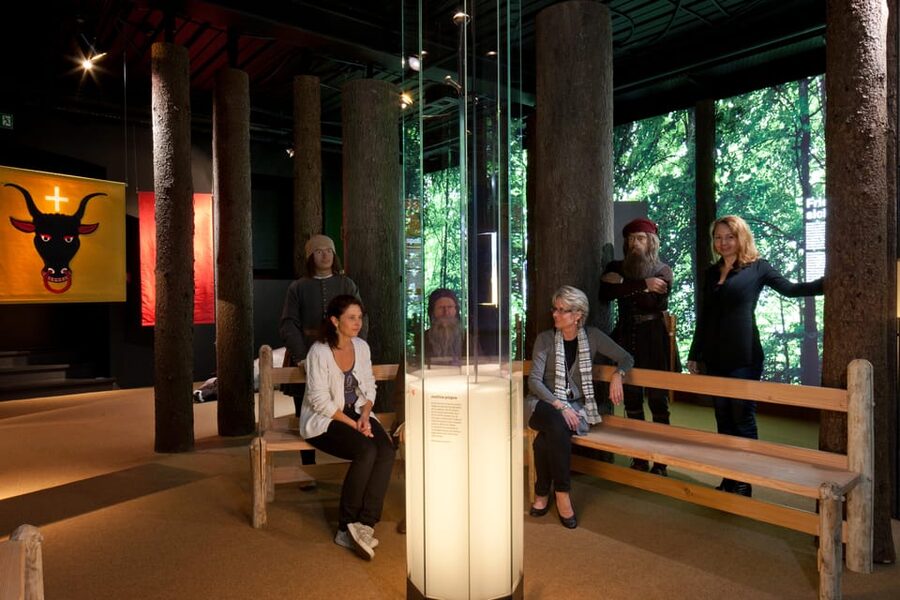 Schwyz: Museum-Ticket Forum of Swiss History Schwyz - Key highlights that make this visit worth your time