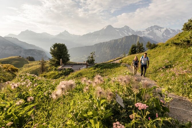 Schynige Platte Cogwheel Railway Return Ticket - When the alphorns play, and how to time your visit