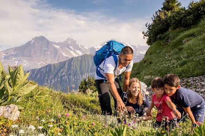 Schynige Platte Cogwheel Railway Return Ticket - Hiking and viewpoints: why you’ll feel like you’re going nowhere (on purpose)