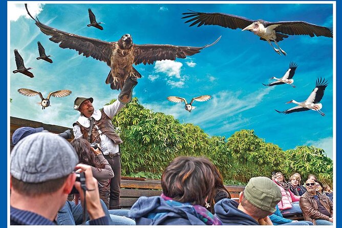 Skip the Line: Falconeria Locarno Ticket - Falconry history you can understand in real time