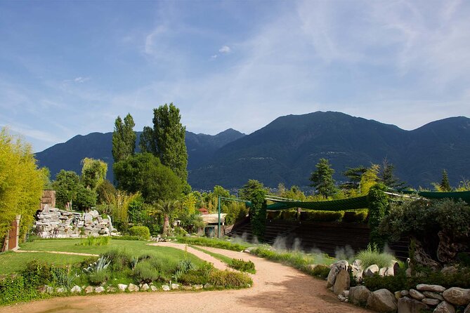Skip the Line: Falconeria Locarno Ticket - Who should book Falconeria Locarno, and who should think twice