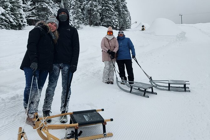 Sledding Cheese Fondue, Chocolate - The descent to Holenstein with Eiger, Mönch, and Jungfrau in view