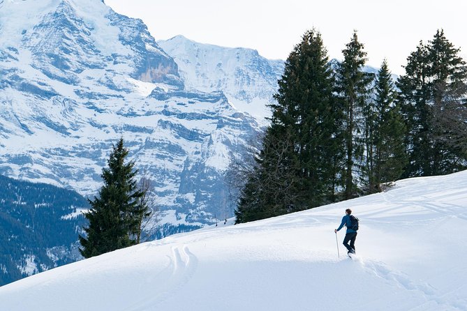 Snowshoe Adventure in the Swiss Alps - Quick hits: what makes this snowshoe tour special
