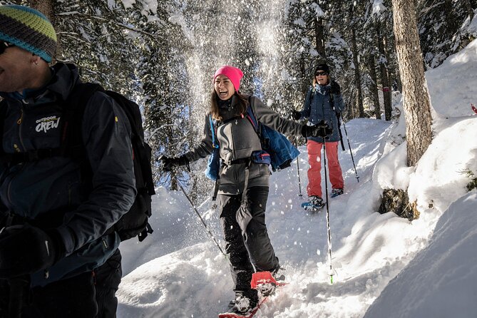 Snowshoe Adventure in the Swiss Alps - The 4-hour schedule: transport, fitting up, and real time on snow