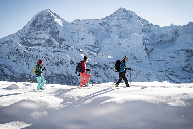Snowshoe Adventure in the Swiss Alps - The snowshoe route: quiet forests, meadow views, and winter trails you cannot freestyle
