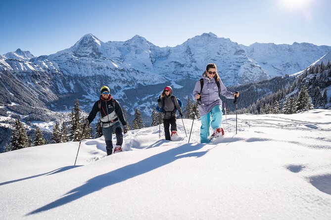 Snowshoe Adventure in the Swiss Alps - What you get: gear, snacks, and boots that make the walk easier