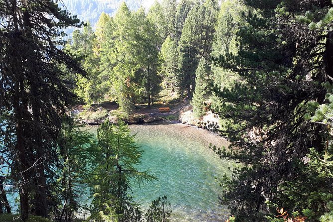 St Moritz Private Guided Panorama Hike - Timing, Pickup, and How to Set Yourself Up for a Smooth Start