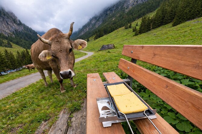 Swiss Alps and Waterfalls Private Tour from Zurich - Berglistuber Wasserfall: a 45-meter drop, viewpoint time, and more