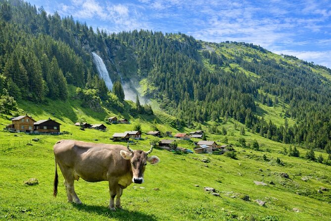 Swiss Alps and Waterfalls Private Tour from Zurich - How the 7 to 8 hours actually feels