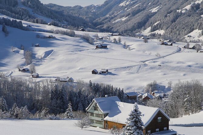 Swiss Alps and Waterfalls Private Tour from Zurich - Morschach and Lake Lucerne: your first big payoff