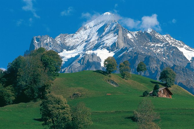 Swiss Alps: Interlaken and Grindelwald Day Trip from Zurich - Sihlquai check-in: where the day starts and how to find your group
