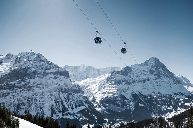 Swiss Alps: Interlaken and Grindelwald Day Trip from Zurich - The guide experience: when Kid shines, and when clarity is missing