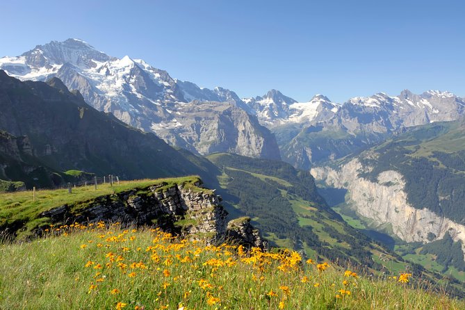 Swiss Alps: Interlaken and Grindelwald Day Trip from Zurich - How this fits different traveler types