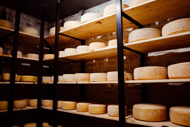 Swiss Cheese Tasting Experience | Basel - Basel Cheese Culture, in a 35-minute format