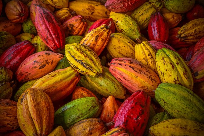 Swiss Chocolate Tasting Experience | Basel - Who Should Book This Swiss Chocolate Tasting Experience?