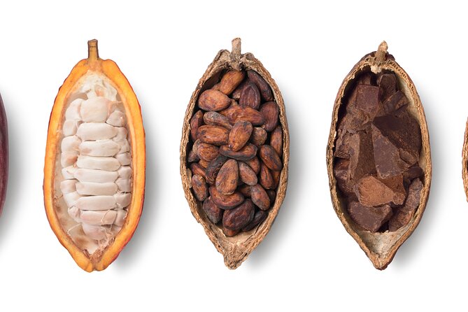 Swiss Chocolate Tasting Experience | Basel - Finding Your Seat at Binningerstrasse 15 (and What the Space Feels Like)