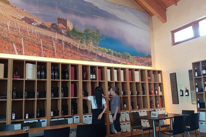 Swiss Vineyard Wine Tasting Tour in Vaud - Who this tour is best for