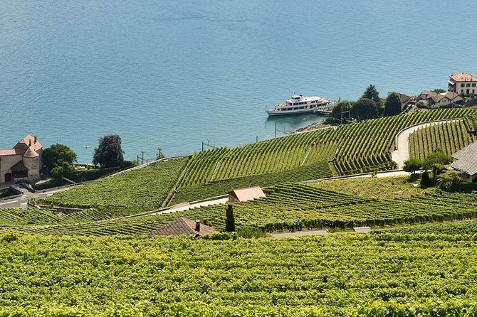 Swiss Wine Tasting at Lavaux Vineyards: Private Trip from Geneva - Key highlights worth planning around