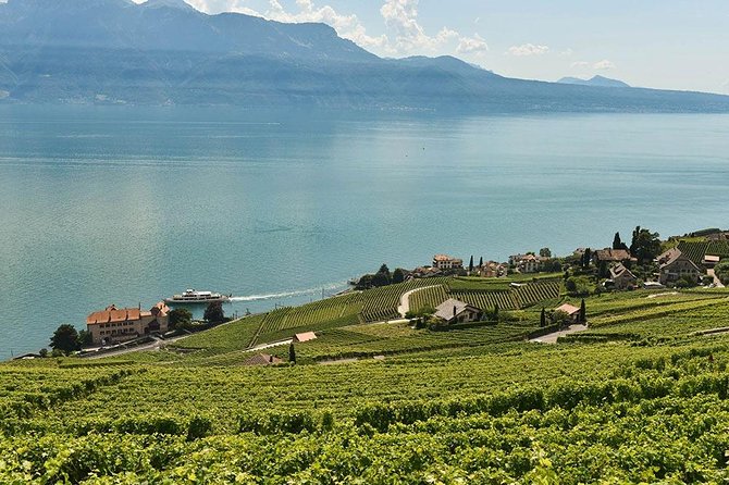 Swiss Wine Tasting at Lavaux Vineyards: Private Trip from Geneva - The vineyard terraces stop: what you should expect on arrival