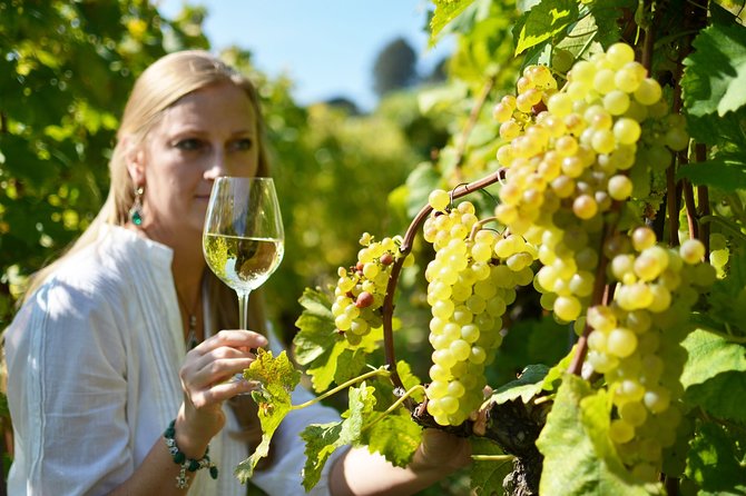 Swiss Wine Tasting at Lavaux Vineyards: Private Trip from Geneva - Getting around Lake Geneva, without the headache