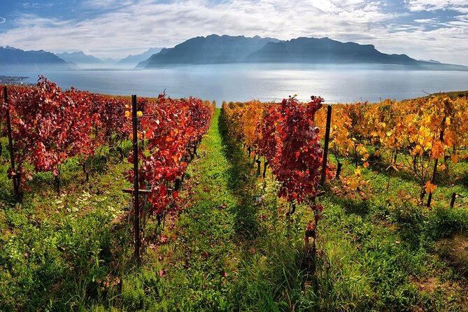Swiss Wine Tasting at Lavaux Vineyards: Private Trip from Geneva - Timing and pacing for an 8-hour wine day
