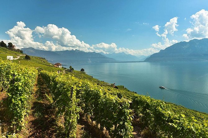 Swiss Wine Tasting at Lavaux Vineyards: Private Trip from Geneva - How the Lavaux area is different from a typical vineyard stop