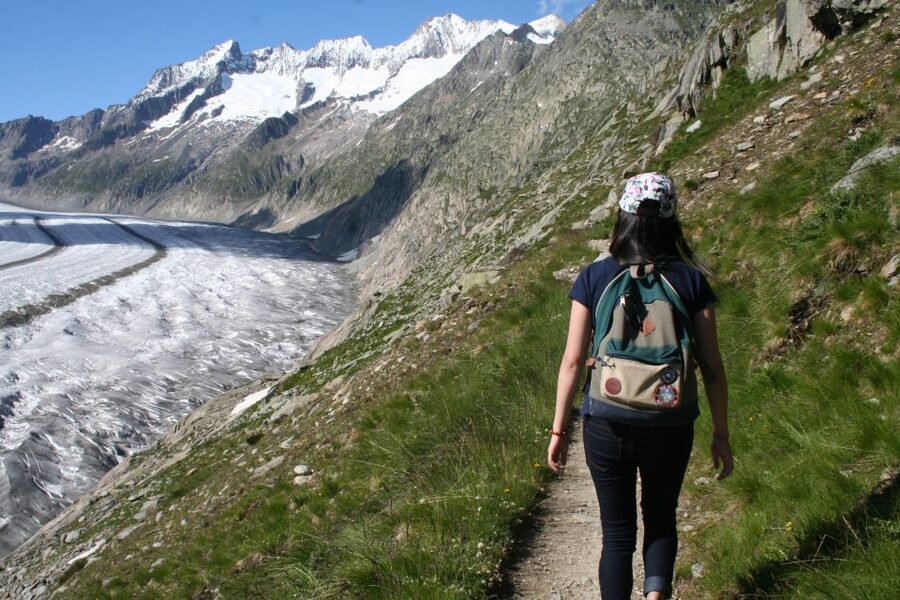 Switzerland: Private Day Tour by car with unlimited km - Language options and guide quality you can actually feel