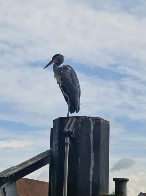 Switzerland: Private nature safari with a local guide. Check out the Alps, lakes, and more - What to bring so the day stays enjoyable