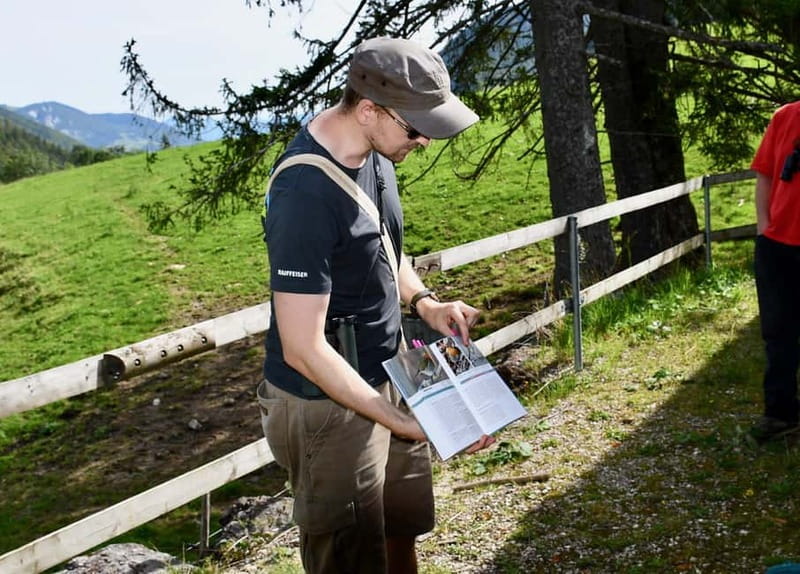 Switzerland: Private nature safari with a local guide. Check out the Alps, lakes, and more - Choosing the right habitat: Alps, lakes, Jura, or Swiss Plateau