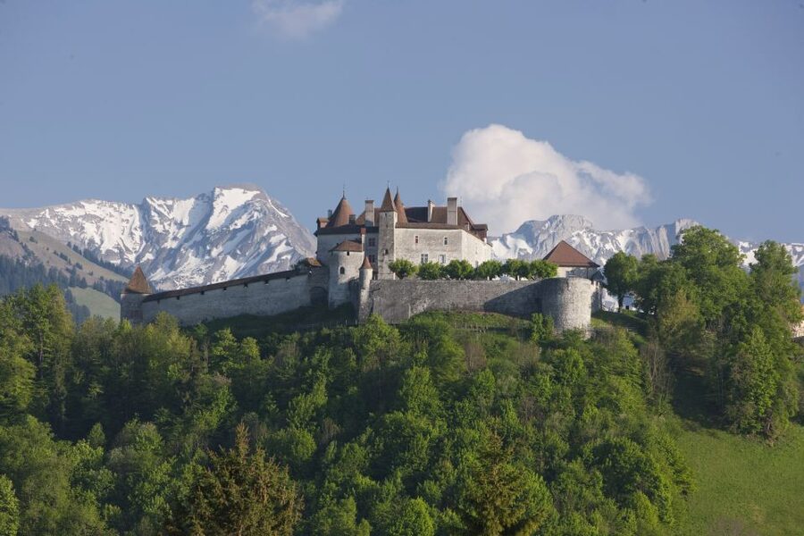 Switzerland: Train, Bus, Boat Travel Pass Flex - Skipping Ticket Lines and Making Reservations Easier