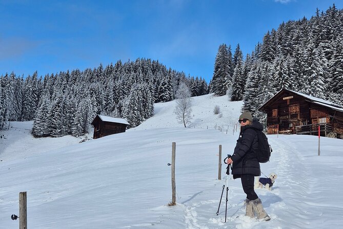The best Sunset hike with Cheese Fondue - Sunset Golden Hour Starts in Car-Free Wengen