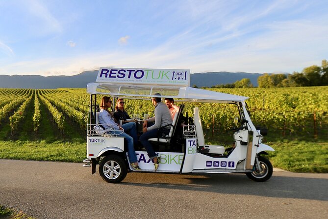 The Private Tuk Tuk Tour with one of The Best Fondues in Geneva! - Stop-by-Stop: What Each Highlight Stop Adds to Your Geneva Day