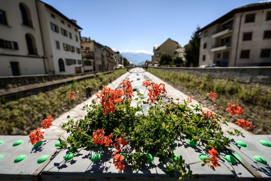 Tirano: Bernina Red Train and Cablecar to Diavolezza Refuge - Should you book this tour?