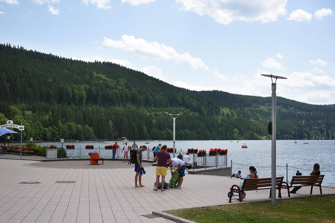 Trip from Zurich to Germany's Black Forest & Swiss Rhine Falls - Rhine Falls: a focused 90 minutes of real power