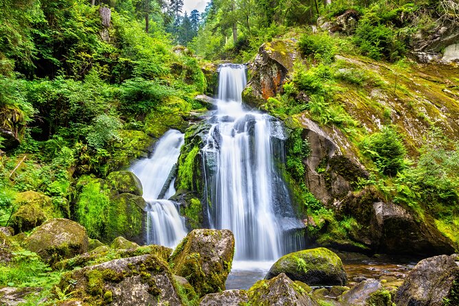 Trip from Zurich to Germany's Black Forest & Swiss Rhine Falls - Lake Titisee: where the day turns calmer