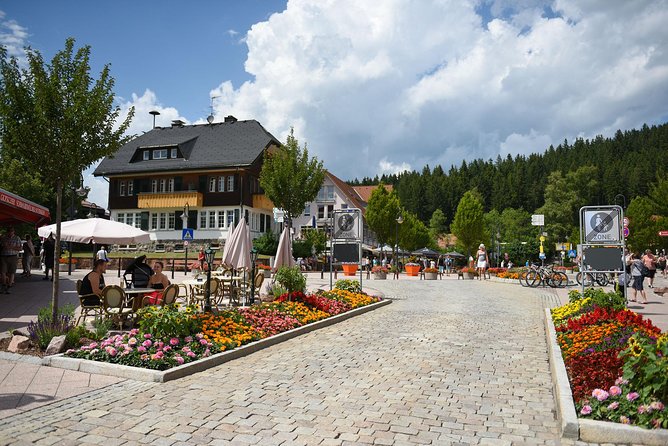 Trip from Zurich to Germany's Black Forest & Swiss Rhine Falls - What you gain from a private route instead of a shared tour