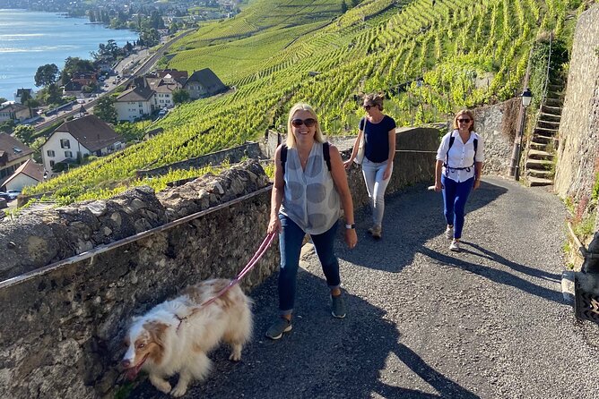 Vine Stories: Lavaux & Lutry wine walk - Key Things to Know Before You Go