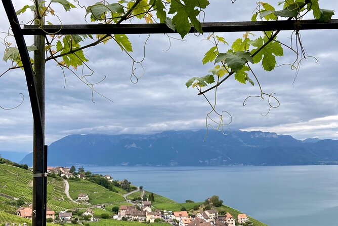 Vine Stories: Lavaux & Lutry wine walk - Lavaux on Foot, the UNESCO Terraces That Actually Feel Human