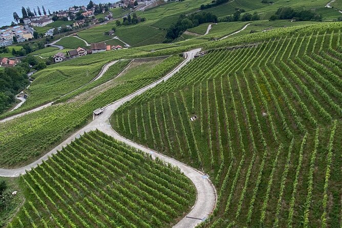 Vine Stories: Lavaux & Lutry wine walk - How Hard Is It, Really? Shoes, Steps, and Stroller Reality