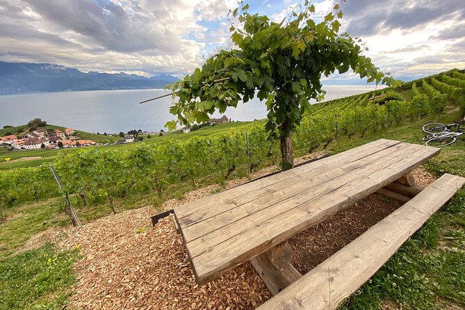 Vine Stories: Lavaux & Lutry wine walk - Meeting in Lutry and Getting Moving Without Stress