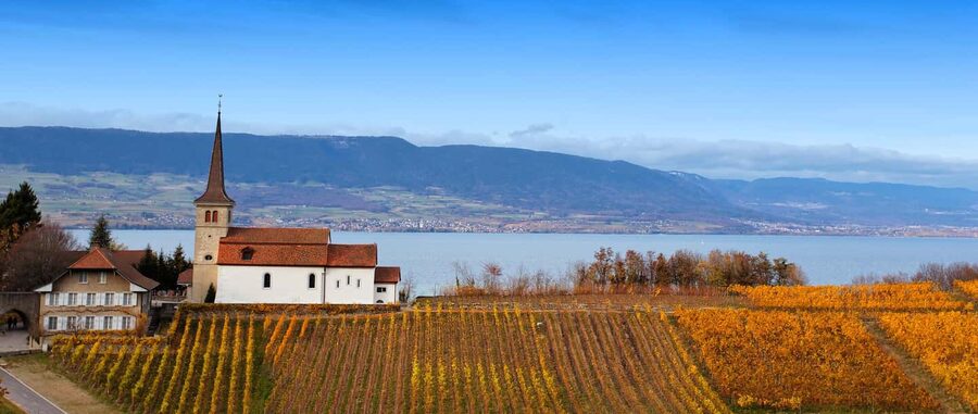 Wine tour in the canton of Vaud - Lavaux vineyards - Key things to know about Lavaux, Vaud, and Chillon in one day