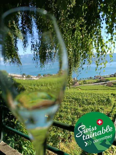 Wine tour in the canton of Vaud - Lavaux vineyards - Vineyard villages like Epesses, Lutry, and Saint-Saphorin