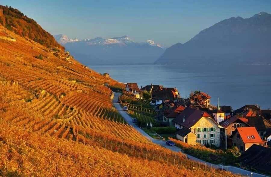 Wine tour in the canton of Vaud - Lavaux vineyards - Chillon Castle: the medieval stop that makes the lake feel dramatic