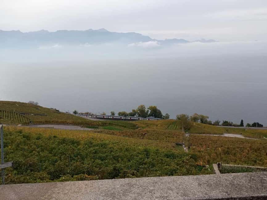 Wine tour in the canton of Vaud - Lavaux vineyards - Tips to make the day smoother and more fun
