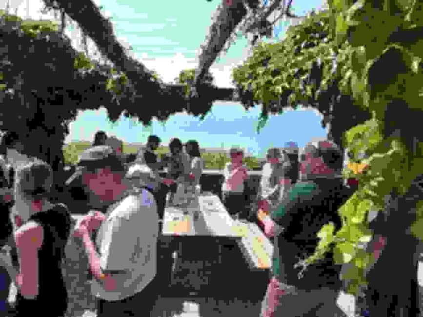 Wine tour in the canton of Vaud - Lavaux vineyards - Who this Lavaux and Vaud tour is best for