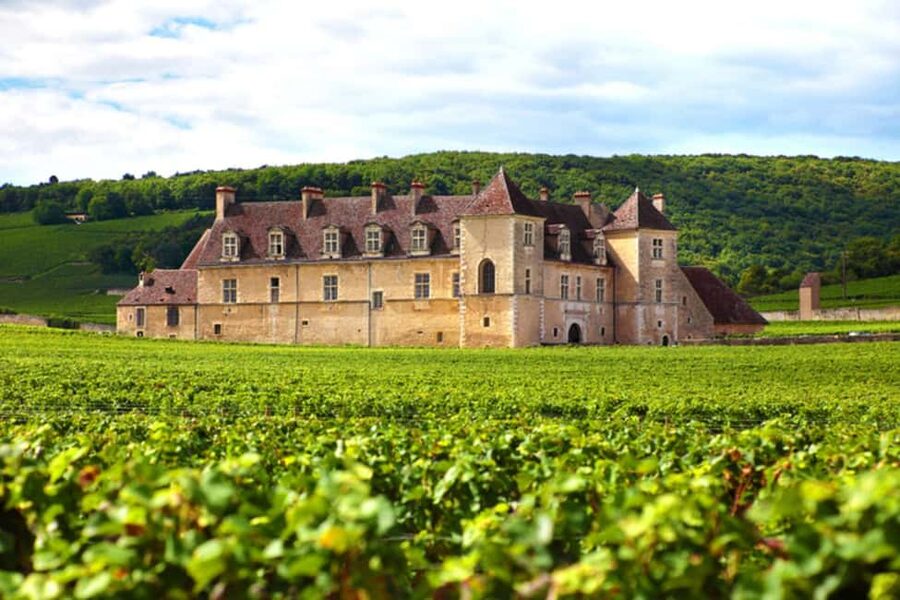 Wine tour in the canton of Vaud - Lavaux vineyards - How the day runs from Lausanne or Geneva to Lake Leman
