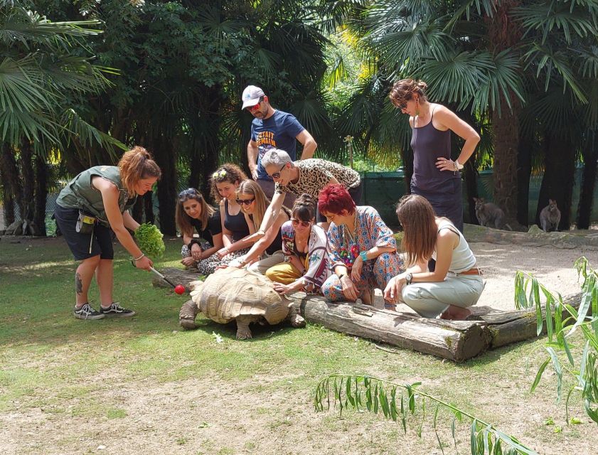 Zoo al Maglio: 1-Day Ticket for the Jungle of Ticino - A smart 2-hour plan: what to see first, second, and last