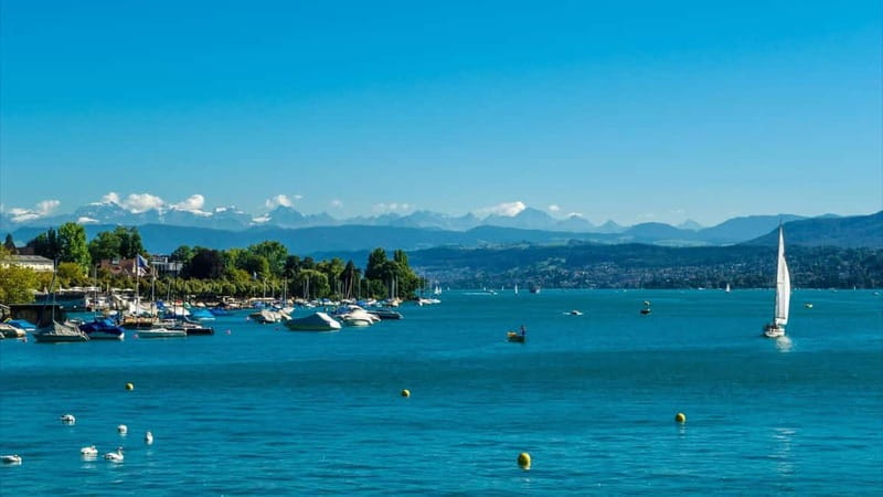 Zurich: 2-hour Best Intro Walking Tour with a Local - Starting at City Hall, then getting oriented fast