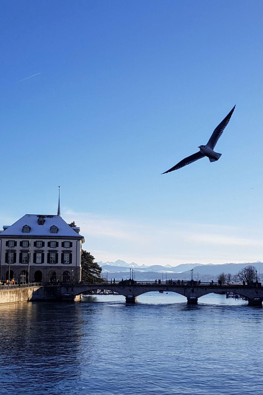 Zurich a journey through time, history and the Reformation - Price and value: $194 for 2.5 hours that feel focused