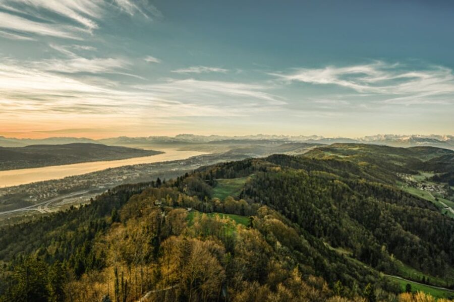 Zurich: Audio Guided City Tour and Train to “Top of Zurich” - Timing and crowd reality during the 4-hour schedule